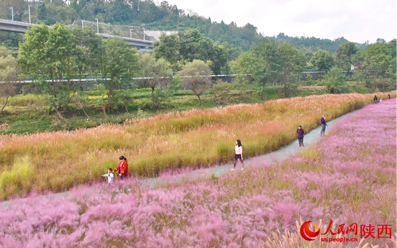 在漢江源頭玉帶河畔濕地公園游玩的游客。人民網記者 白鴿攝