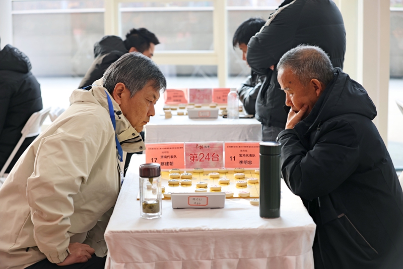 參賽選手正在進(jìn)行象棋比賽。陜西省體育局供圖
