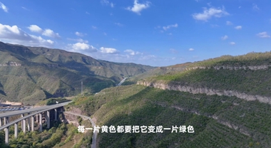 黃河崖壁種樹記